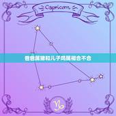 爸爸属猪和儿子鸡属相合不合，属马男和什么属相最配