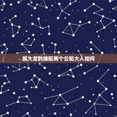 属大龙的婚配两个公配大人如何，属龙的和属猪能相配吗