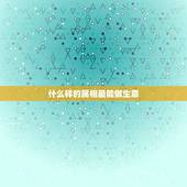 什么样的属相最能做生意，属马的和什么属相最适合做生意