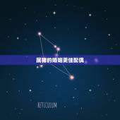 属猪的婚姻更佳配偶，1995年属猪2022 年运势