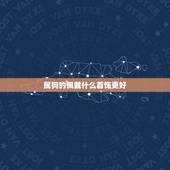 属狗的佩戴什么首饰更好，生肖兔佩戴什么首饰好