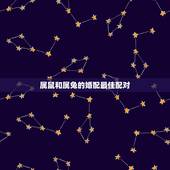 属鼠和属兔的婚配最佳配对，属鼠和属兔的相配吗？