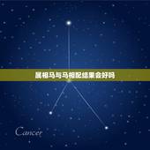 属相马与马相配结果会好吗，属马的和属马的属相配吗