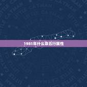 1981年什么命五行属性，1981年出生的属五行的什么