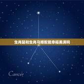 生肖鼠和生肖马婚配能幸福美满吗，生肖鼠和生肖马能在一起吗