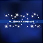 十二属相婚配男龙配什么合适，配的属相，男属龙的属相婚配表，属龙男和什么