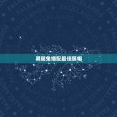 男属兔婚配最佳属相，男属兔跟什么生肖最配