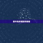 属牛和虎相配吗婚姻，老虎与属牛的配婚姻