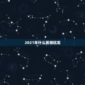2021年什么属相旺龙，2021年最吉利的四大属相