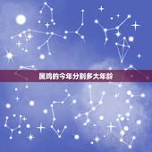 属鸡的今年分别多大年龄，12生肖婚姻匹配