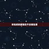 羊和虎的属相合不合做生意，属虎和属羊合财吗？
