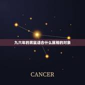 九六年的男鼠适合什么属相的对象，我属鼠的，96年的，我该找属啥属相的男