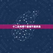 十二生肖哪个属相不能养鱼，12生肖哪个属相最差