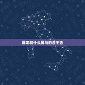 属龙和什么属马的合不合，属龙和属马姻缘能长久