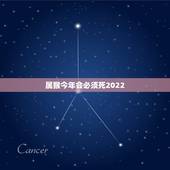 属猴今年会必须死2022，2022年最倒霉的四大生肖2022年会破财的