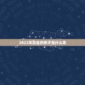 2022年出生的孩子是什么命，62年12月出生金木水火土是什么命？