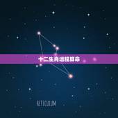 十二生肖运程算命，算命2010运程