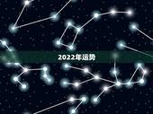 2022年运势，2022年紫微流年命盘