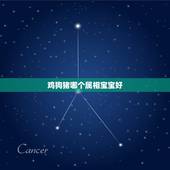 鸡狗猪哪个属相宝宝好，我男朋友属蛇，我属羊，相配吗？后面是鸡狗猪年，生