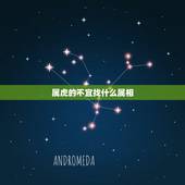 属虎的不宜找什么属相，属虎的和什么属相相冲？