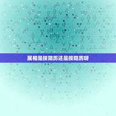 属相是按阴历还是按阳历呀，属相应该按阴历还是阳历啊？