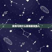 属相马和什么属相最佳他人，属相马和什么属相在一起是最好的