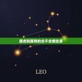 属虎和属狗的合不合做生意，1986年属虎和1982年属狗做生意怎么