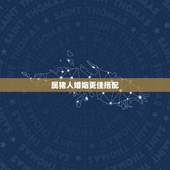 属猪人婚姻更佳搭配，属猪的今年婚姻顺利吗