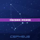 中国式相亲第二季在线观看，中国式相亲第二季