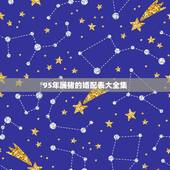 95年属猪的婚配表大全集，1995属猪的女人旺夫吗