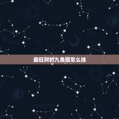 最旺财的九鱼图怎么挂，客厅可以挂九鱼画吗？挂哪个位置最好