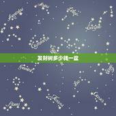 发财树多少钱一盆，我想买盆发财树大概多少钱？大一点的啊！