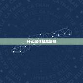 什么属相和龙最配，属龙的跟什么最配对