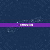 一月牛宝宝起名，女牛宝宝起名用字