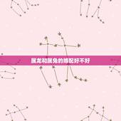 属龙和属兔的婚配好不好，龙跟兔属相合吗结婚有没有错