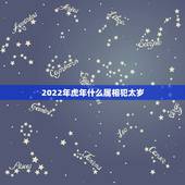 2022年虎年什么属相犯太岁，2022年最旺的生肖