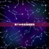 两个99年的兔相配吗，99年兔和什么生肖最配