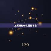 龙属相和什么属相不合，属相龙和哪个属相不合？