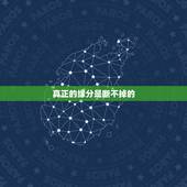 真正的缘分是断不掉的，真正的缘分迟迟不来？