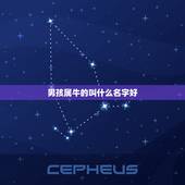 男孩属牛的叫什么名字好，属牛男孩最吉利的名字