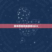 属羊的桃花劫是鸡2022，91年属羊女命太苦了