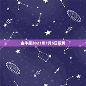 金牛座2021年1月5日运势，让人值得信赖的金牛座今年运势如何？是否非