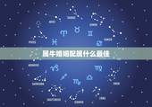 属牛婚姻配属什么最佳，属牛的找什么属相的对象最好