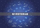 看八字合不合怎么看，请问.两个人八字合不合这个怎么看？可以举例吗？