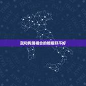 鼠和狗属相合的婚姻好不好，82年属狗女和72年属鼠男婚配合适吗