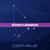 属羊的和什么属相相配更好，属羊宜配属相