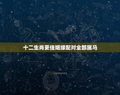十二生肖更佳姻缘配对全部属马，十二生肖与运程