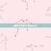 属狗今年多大年纪2022，特朗普多大年纪今年