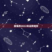 属兔的2022年运势如何，2022年属马人的全年每月