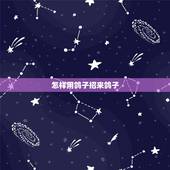 怎样用鸽子招来鸽子，怎么样可以引别人的鸽子